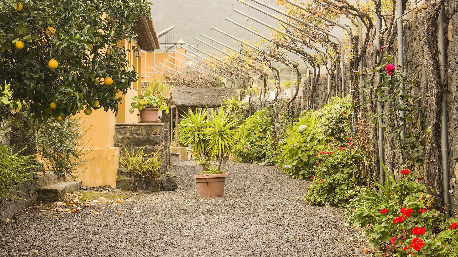 Casa Rural La Tanquera Los Realejos Villa